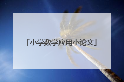 小学数学应用小论文