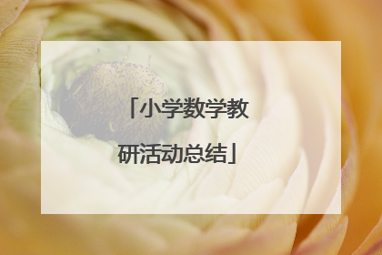 小学数学教研活动总结
