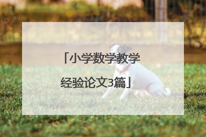 小学数学教学经验论文3篇