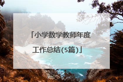 小学数学教师年度工作总结(5篇)