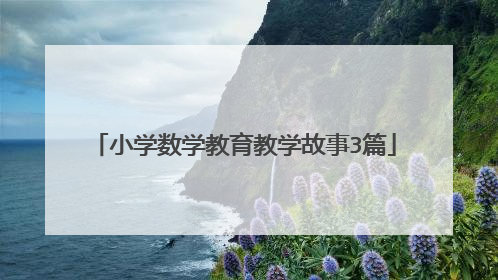 小学数学教育教学故事3篇