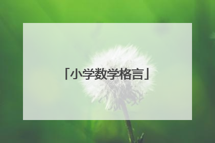 小学数学格言