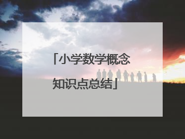 小学数学概念知识点总结