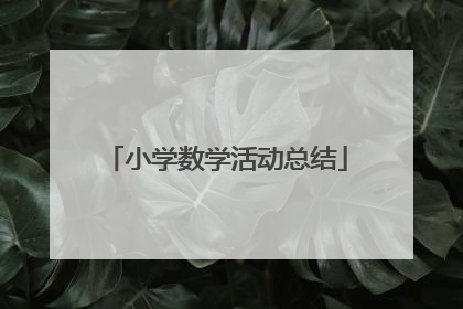 小学数学活动总结