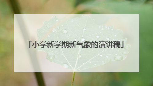 小学新学期新气象的演讲稿