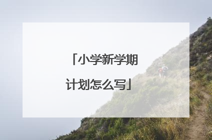 小学新学期计划怎么写