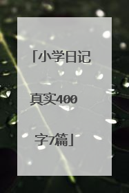 小学日记真实400字7篇