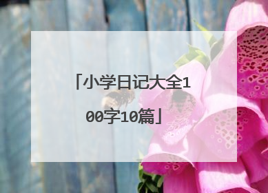 小学日记大全100字10篇