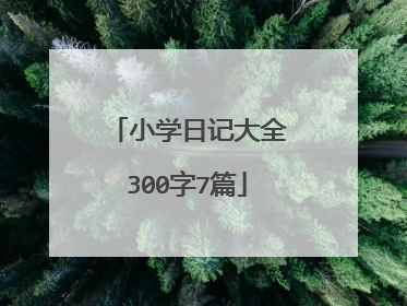 小学日记大全300字7篇