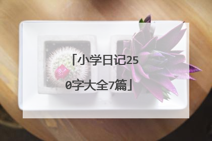 小学日记250字大全7篇