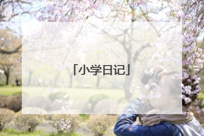 小学日记