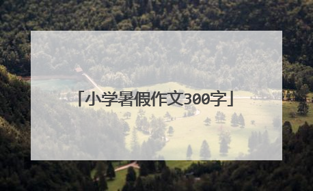 小学暑假作文300字