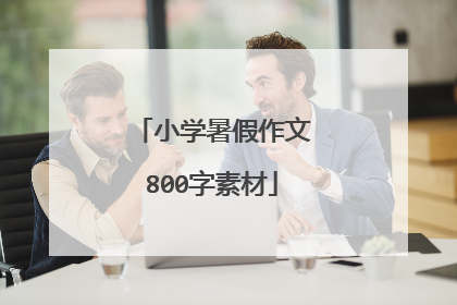 小学暑假作文800字素材