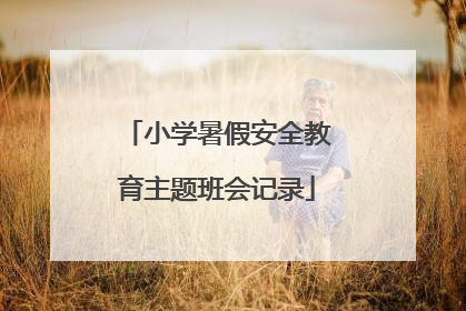 小学暑假安全教育主题班会记录