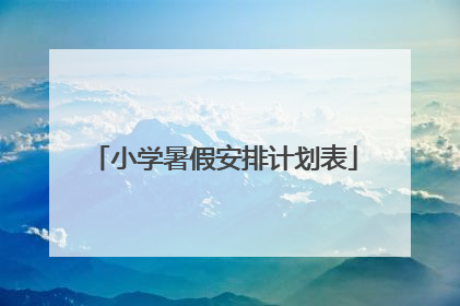 小学暑假安排计划表