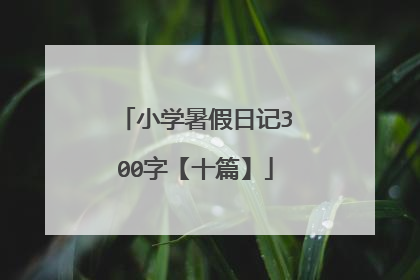 小学暑假日记300字【十篇】