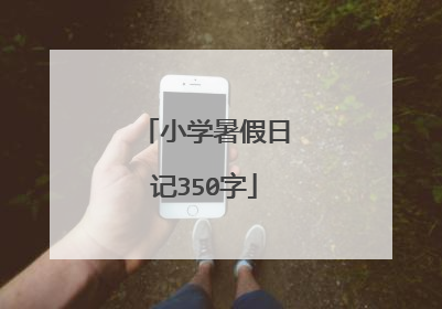 小学暑假日记350字