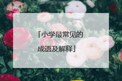 小学最常见的成语及解释