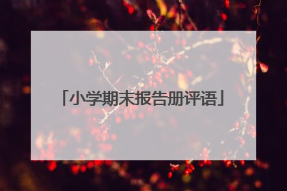 小学期末报告册评语