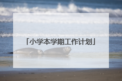 小学本学期工作计划