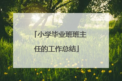 小学毕业班班主任的工作总结