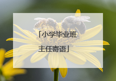 小学毕业班主任寄语