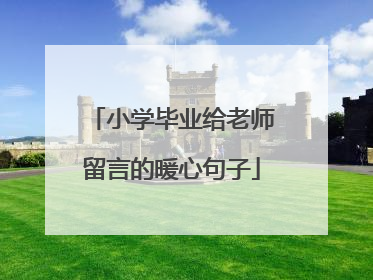 小学毕业给老师留言的暖心句子