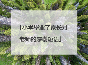 小学毕业了家长对老师的感谢短语