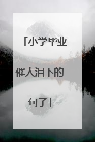 小学毕业催人泪下的句子