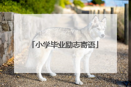 小学毕业励志寄语