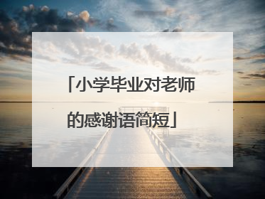 小学毕业对老师的感谢语简短