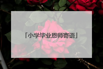 小学毕业恩师寄语
