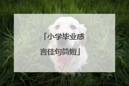 小学毕业感言佳句简短