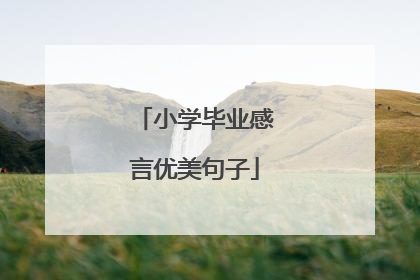 小学毕业感言优美句子