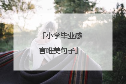 小学毕业感言唯美句子