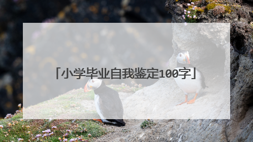 小学毕业自我鉴定100字