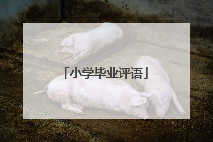 小学毕业评语