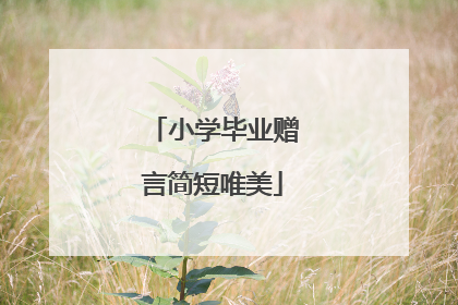 小学毕业赠言简短唯美