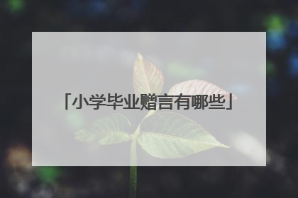 小学毕业赠言有哪些