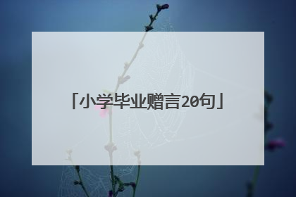 小学毕业赠言20句