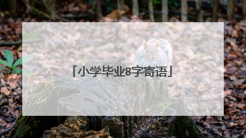 小学毕业8字寄语