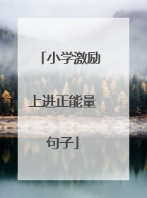 小学激励上进正能量句子