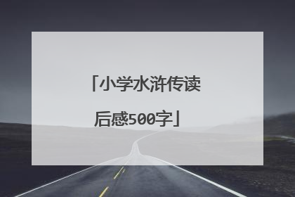 小学水浒传读后感500字