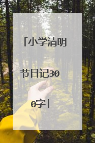 小学清明节日记300字