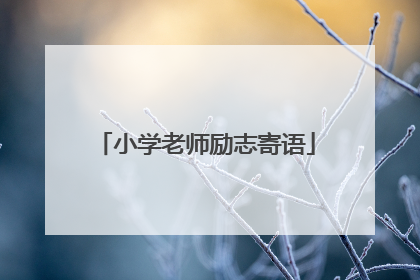小学老师励志寄语