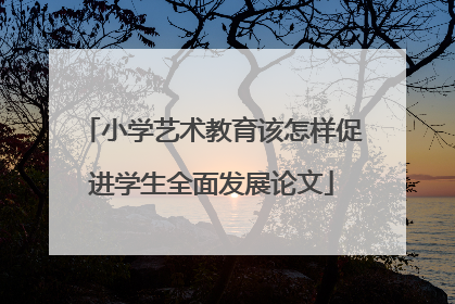 小学艺术教育该怎样促进学生全面发展论文