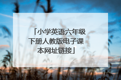 小学英语六年级下册人教版电子课本网址链接