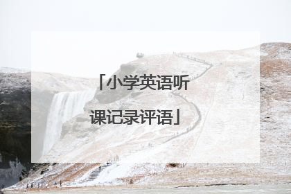 小学英语听课记录评语