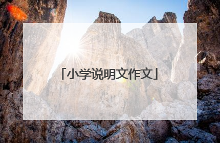 小学说明文作文
