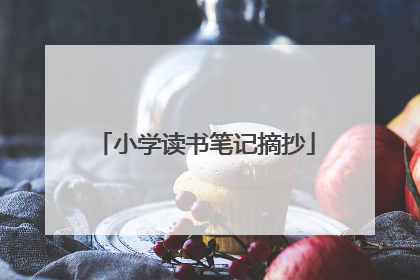 小学读书笔记摘抄